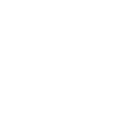 Forums Hello Rainforest